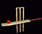Cricket Stumps Animation 2 thumb
